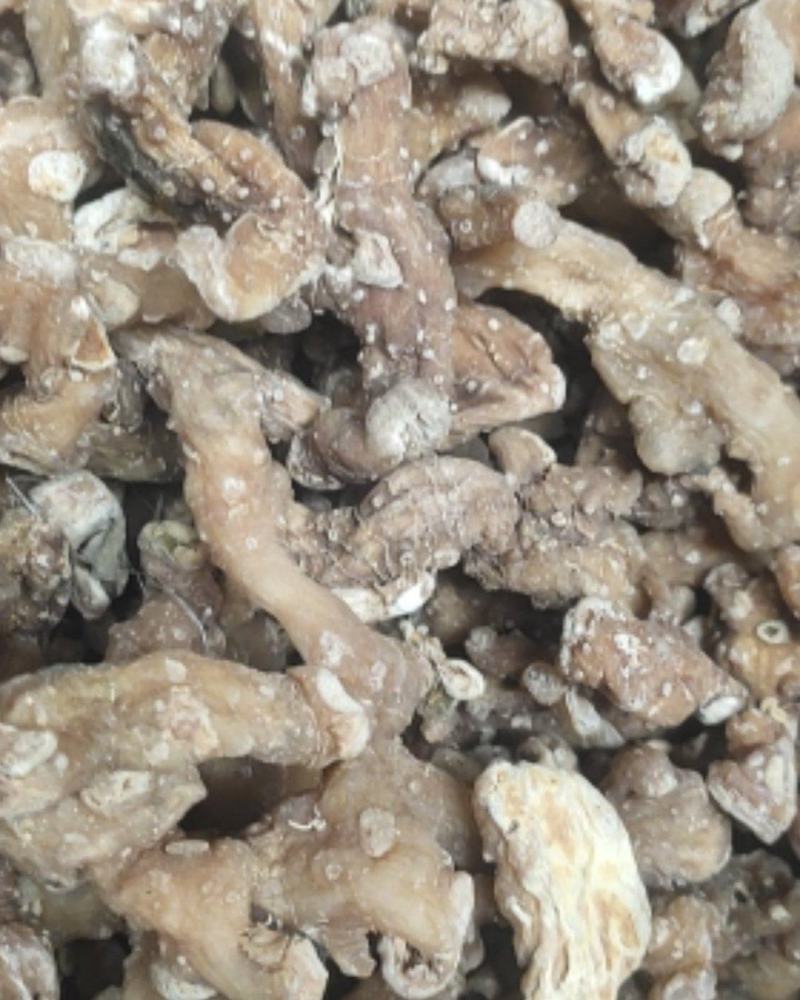 黄精四川省安岳县多花甜黄精片口感好肉质保满