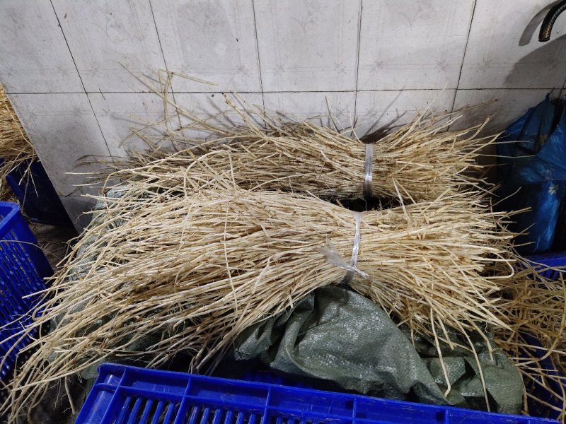 白茅根厂家一手货源，支持视频看货