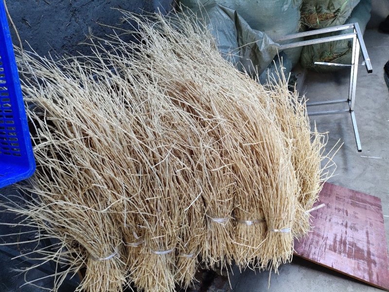 白茅根厂家一手货源，支持视频看货