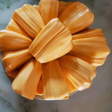 菠萝蜜苗，红心菠萝蜜苗，四季菠萝蜜苗，嫁接苗，实生苗