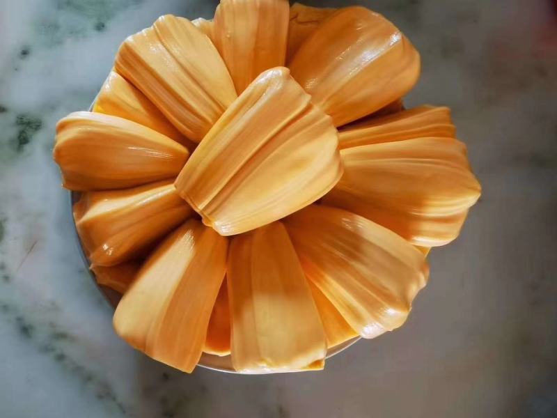 菠萝蜜苗，红心菠萝蜜苗，四季菠萝蜜苗，嫁接苗，实生苗