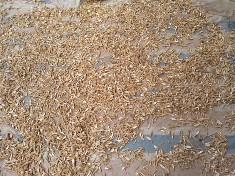 本地牛大力粉质干片，各种规格大中小片型均可加工