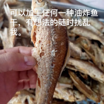 精品香酥植物油炸土鲮鱼干合适做罐头即吃香酥可口