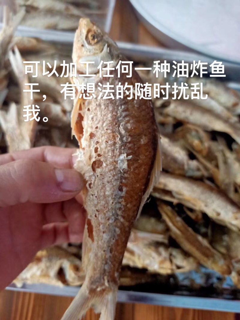 精品香酥植物油炸土鲮鱼干合适做罐头即吃香酥可口