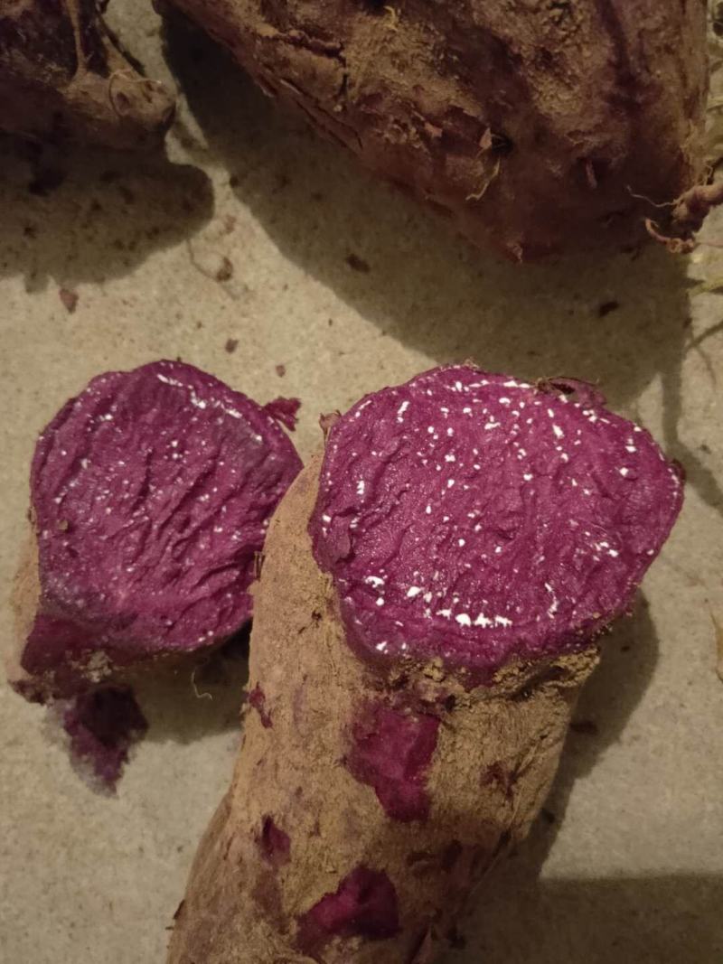 紫薯，凌紫，大量出售凌紫，2两以上凌紫，大量出售10吨起