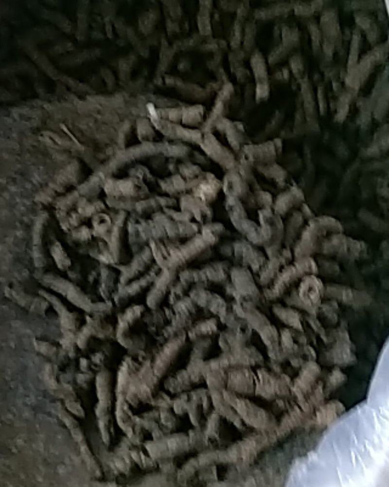 巴戟天通货选货质量可以