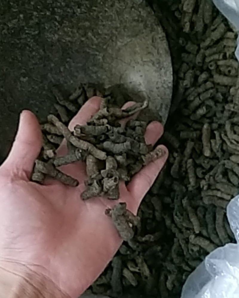 巴戟天通货选货质量可以