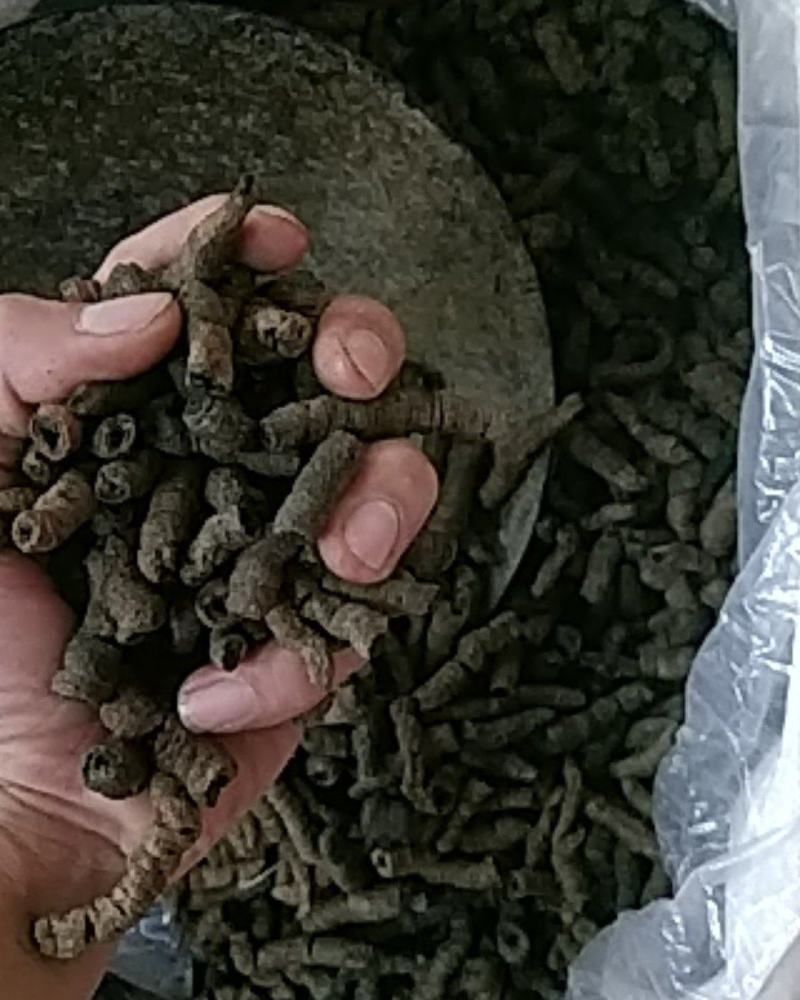 巴戟天通货选货质量可以