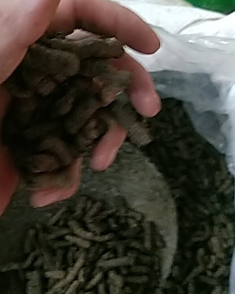 巴戟天通货选货质量可以