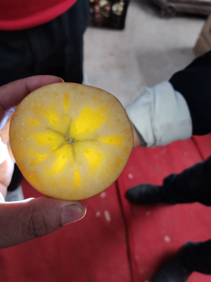 云南冰糖心丑苹果大量上市，冰糖心足，价格低
