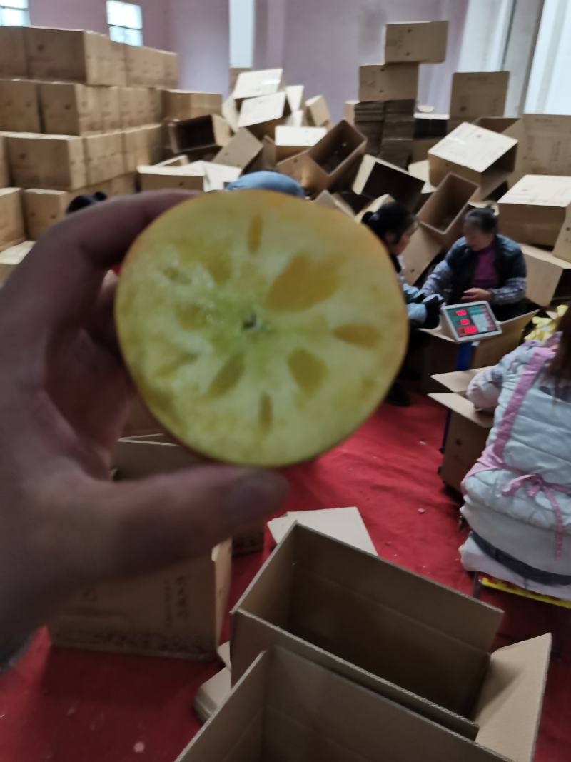 云南冰糖心丑苹果大量上市，冰糖心足，价格低