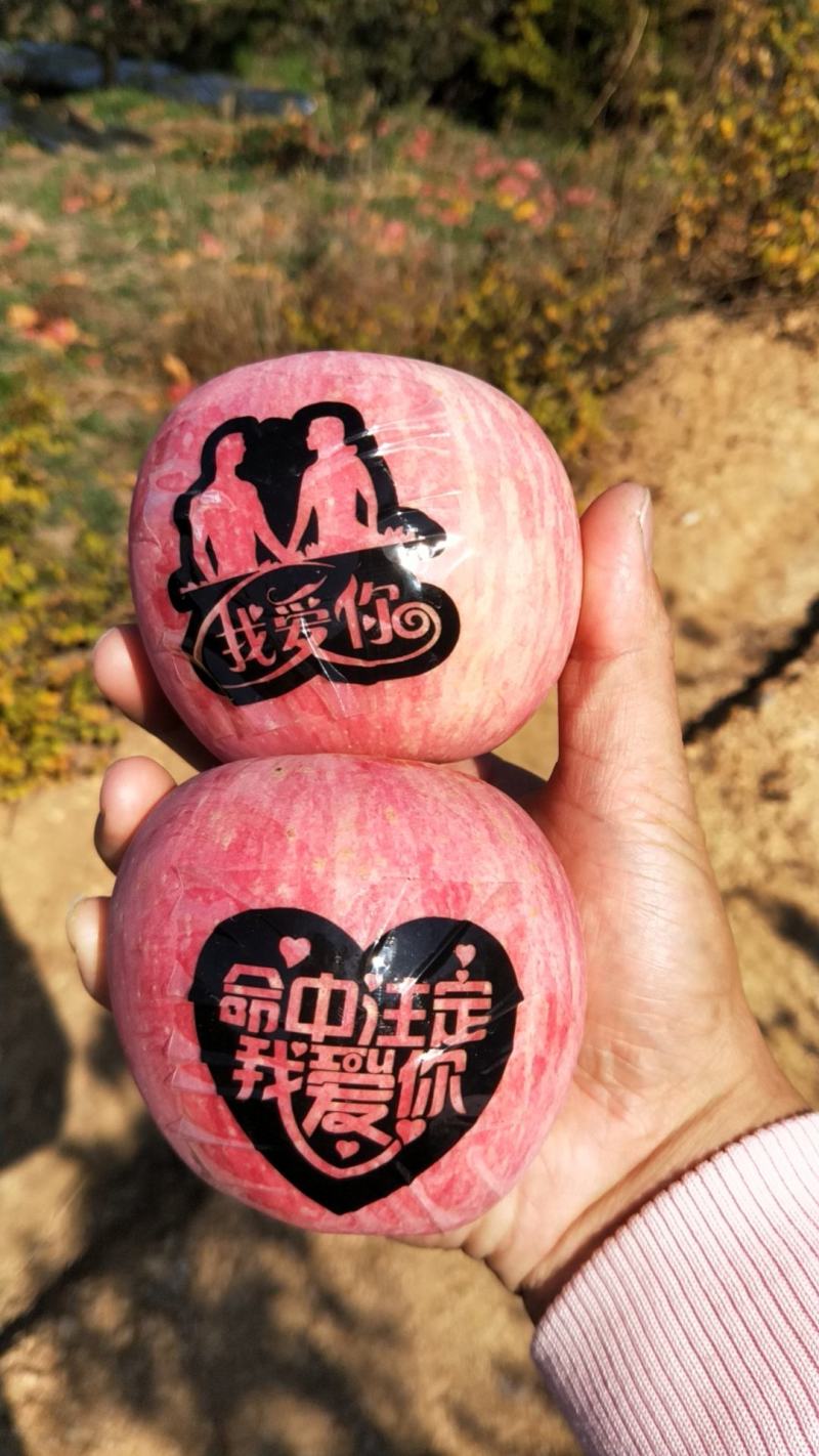 苹果原产地栖霞苹果需要的可以联系我可以零售也可以批发