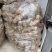 安丘精品姜母保质保量货源充足欢迎选购