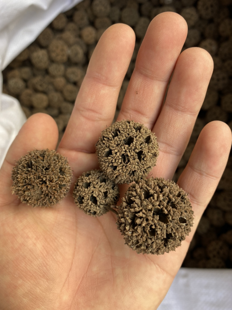 路路通产地直销量大从优批发各种中药材