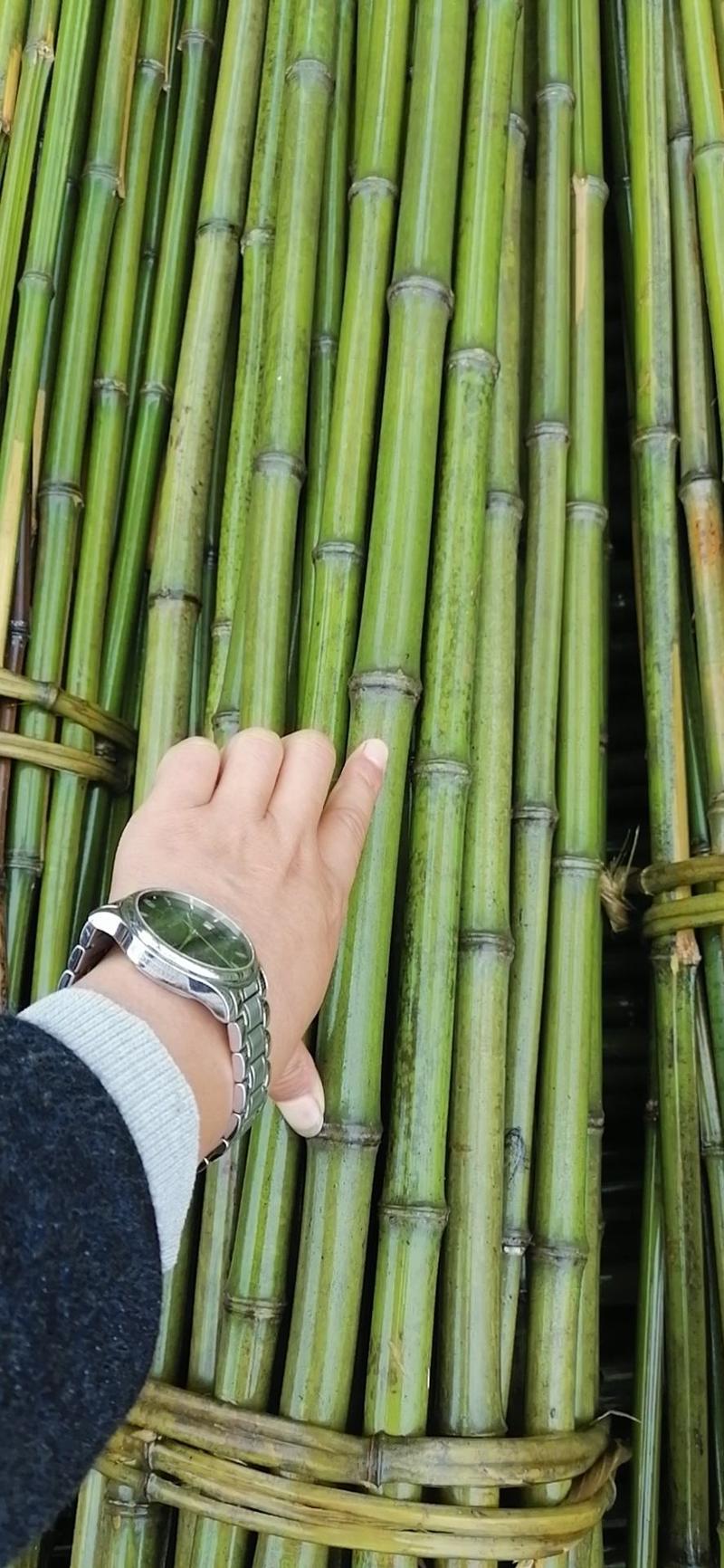 冬瓜竹，菜价竹，架菜竹，撑杆竹。旗杆竹，金竹