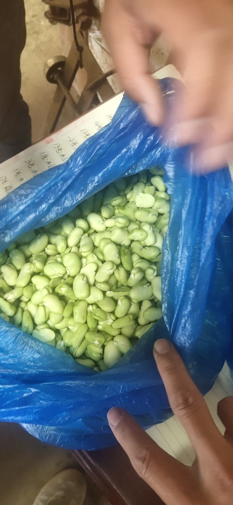 各种云南菜，西兰花豆类叶菜类