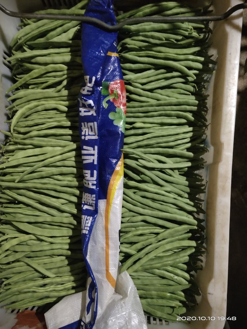 各种云南菜，西兰花豆类叶菜类