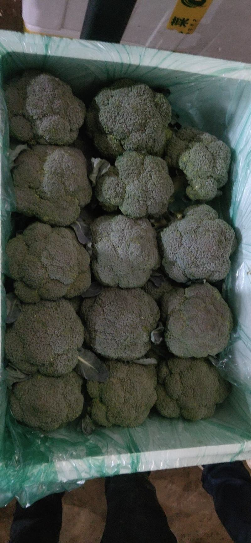 各种云南菜，西兰花豆类叶菜类