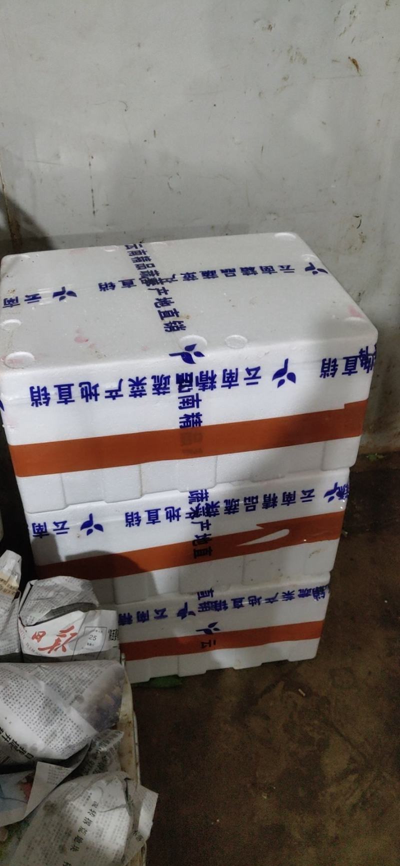 各种云南菜，西兰花豆类叶菜类
