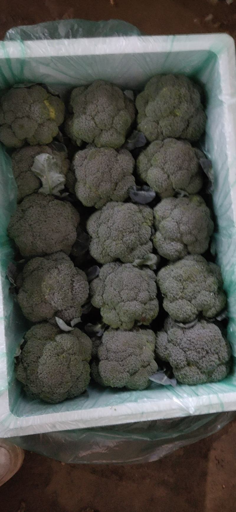 各种云南菜，西兰花豆类叶菜类