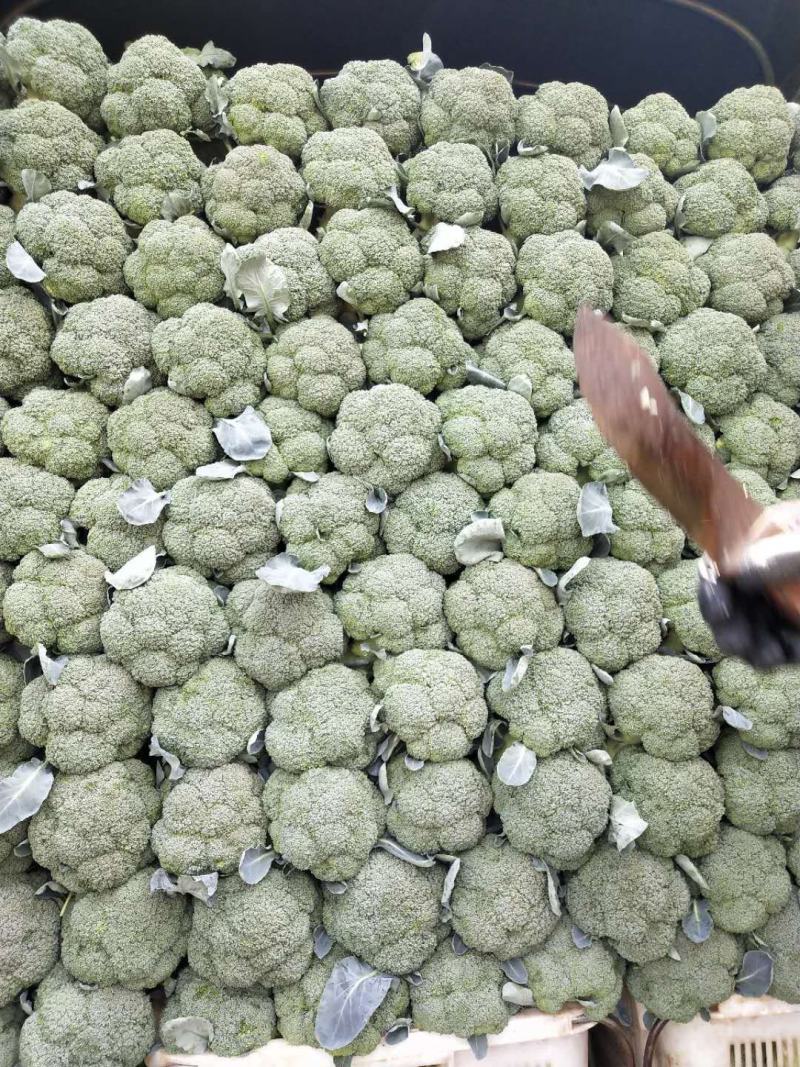 各种云南菜，西兰花豆类叶菜类