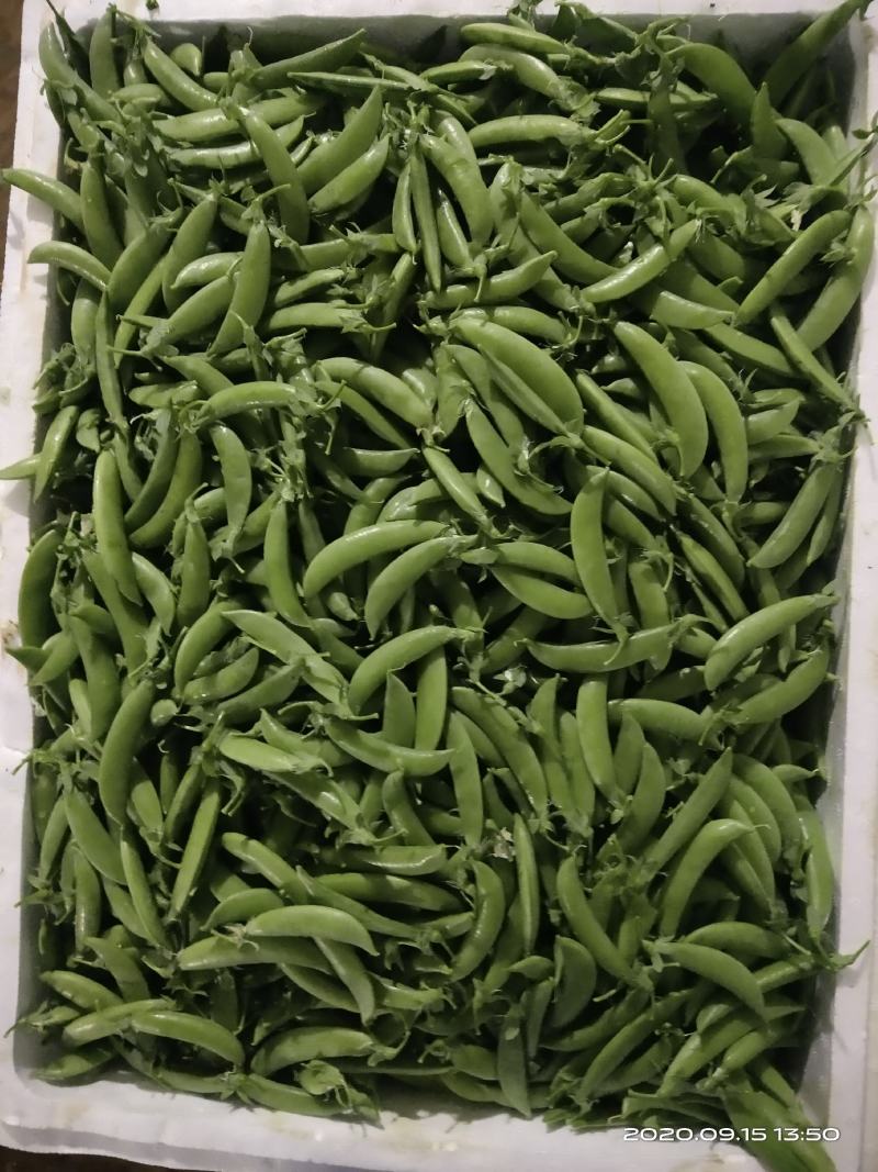 各种云南菜，西兰花豆类叶菜类
