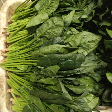 各种云南菜，西兰花豆类叶菜类
