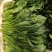各种云南菜，西兰花豆类叶菜类