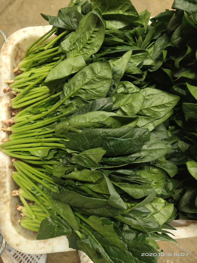 各种云南菜，西兰花豆类叶菜类