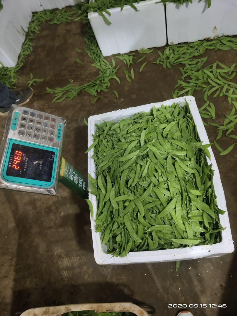 各种云南菜，西兰花豆类叶菜类