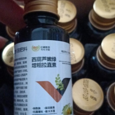 西葫芦膨大拉长，嫩绿增，粗增长拉，直膨，大剂