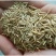 披碱草种子碱茅草抗风沙耐旱耐盐碱草籽耐寒多年生四季牧