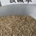 披碱草种子碱茅草抗风沙耐旱耐盐碱草籽耐寒多年生四季牧