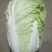 黄心大白菜，0.45元