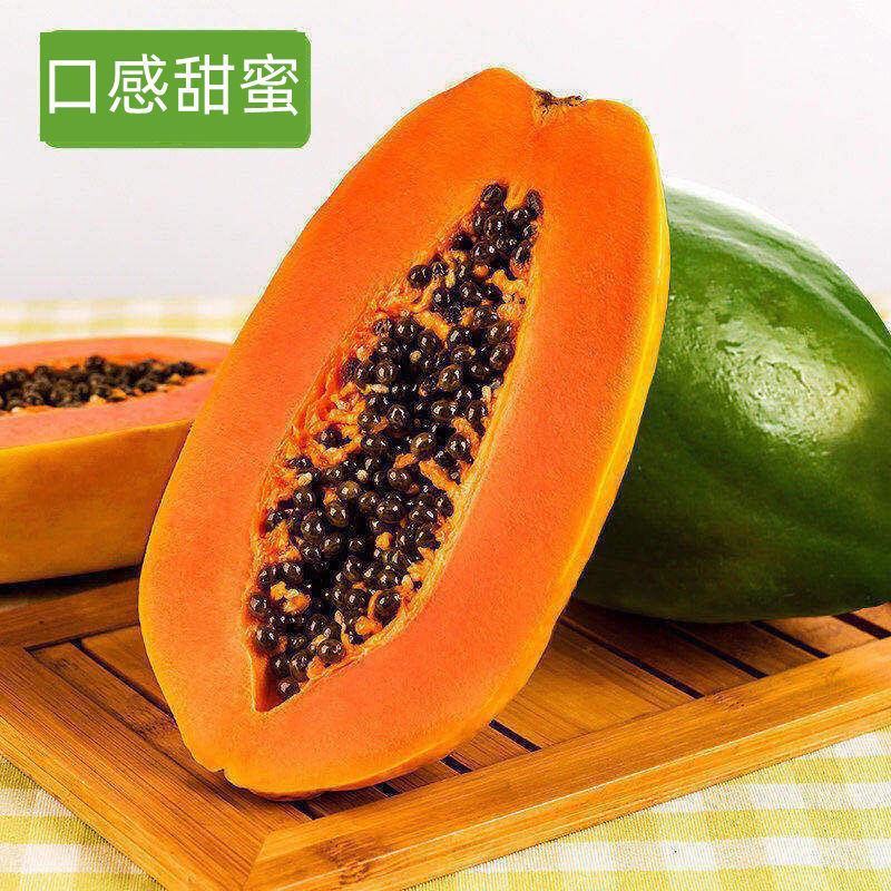 矮化木瓜苗大青木瓜苗水果木瓜红肉阳台盆栽庭院四季种植