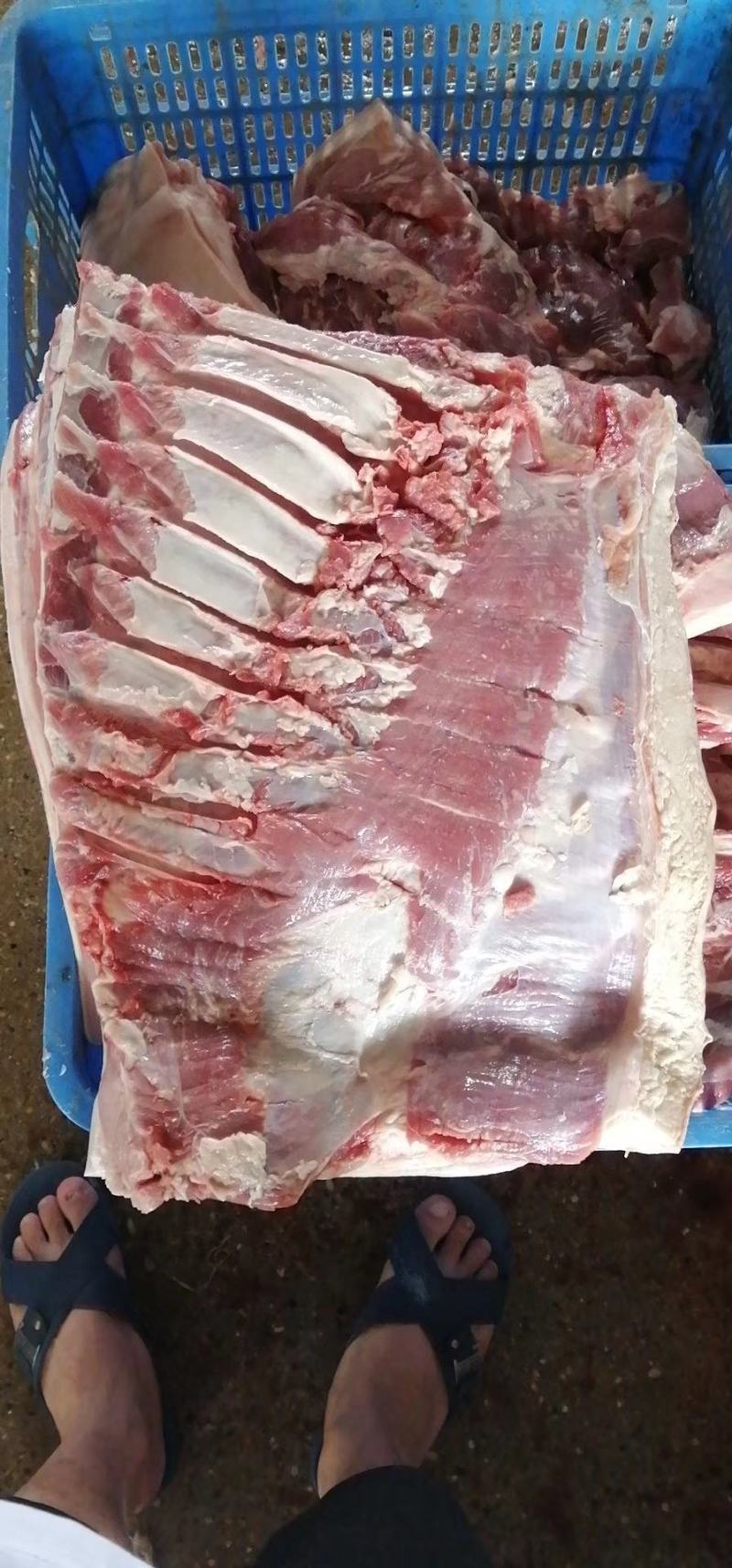 猪副产品挑骨新鲜五花肉