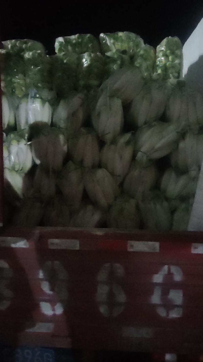 青萝卜大量有货颜色好，质量好