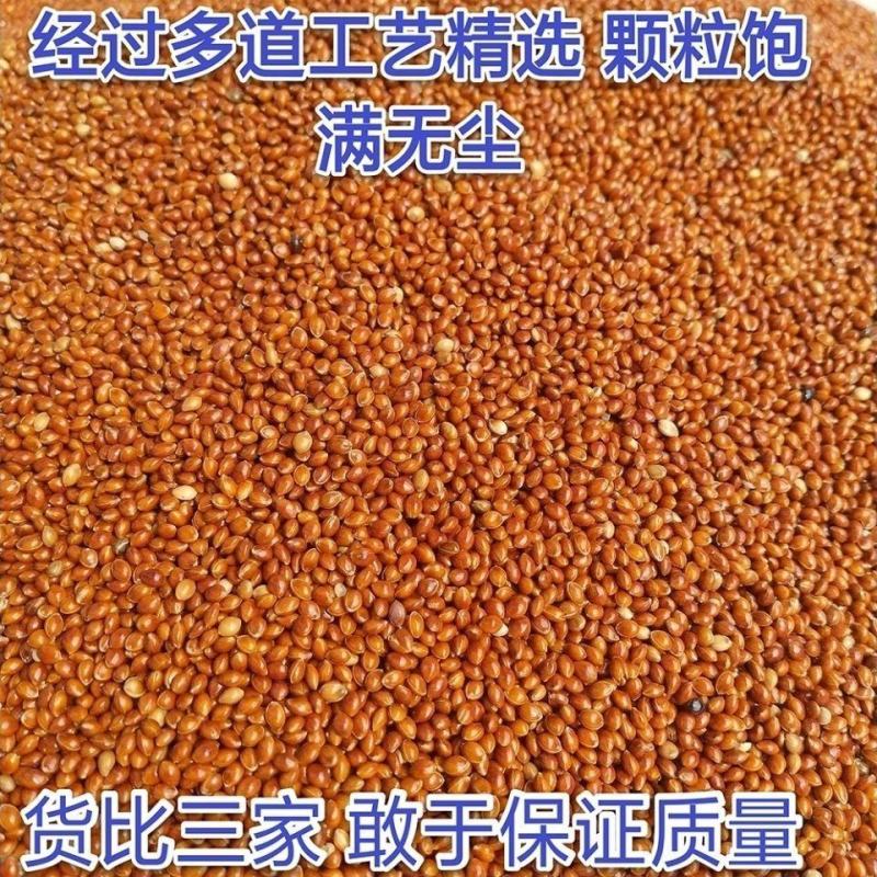 红糜子，喂鸟，做糕，酿酒专用，来自农家无农药