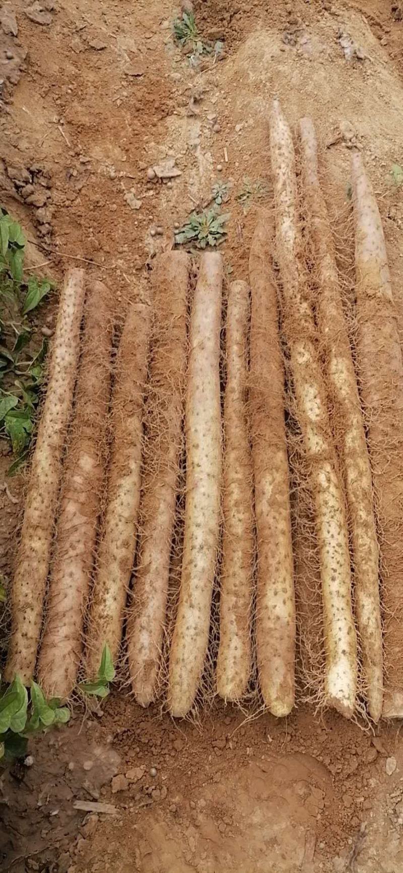 山西白玉视频看货实地看货线上担保寄送样品原产地直供常年有
