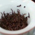 小种红茶甜香，汤含花香；甘甜醇和，挂杯香馥郁