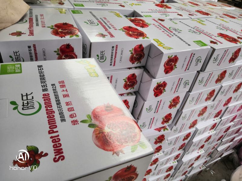 突尼斯软籽石榴树3之6年，各种规格齐全现挖现发