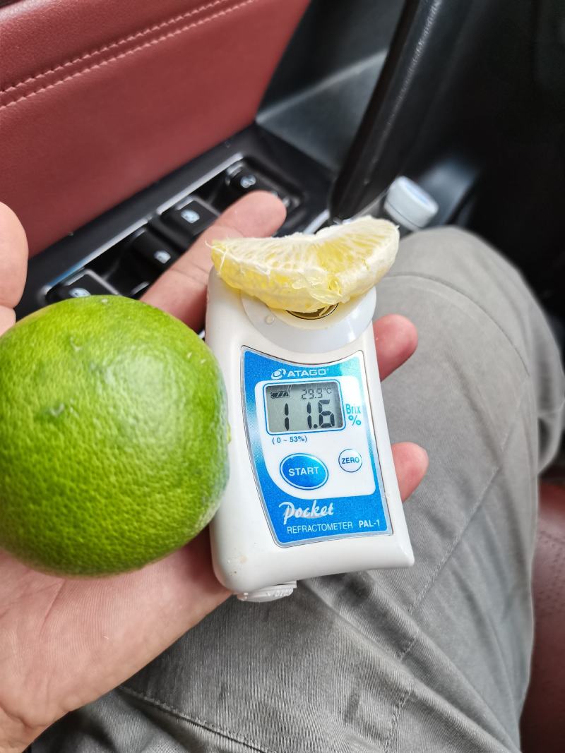 云南冰糖橙上市中，看上的可聊