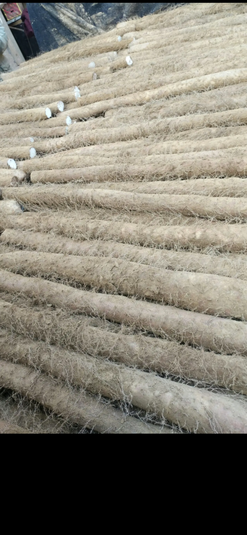 山西白玉山药，条形通直，颜色好，质优价廉！