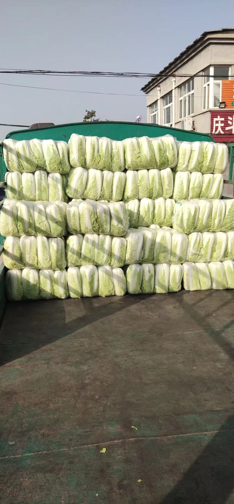 北京三号净白菜货量充足产地直销价位低山东肥城全国发车