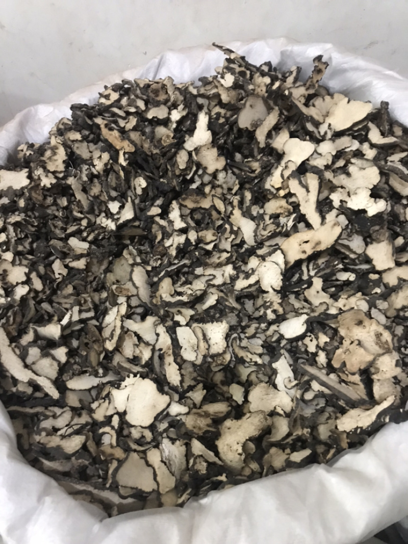 【货对版正品】猪苓猪屎苓猪苓片猪茯苓猪苓选装大片