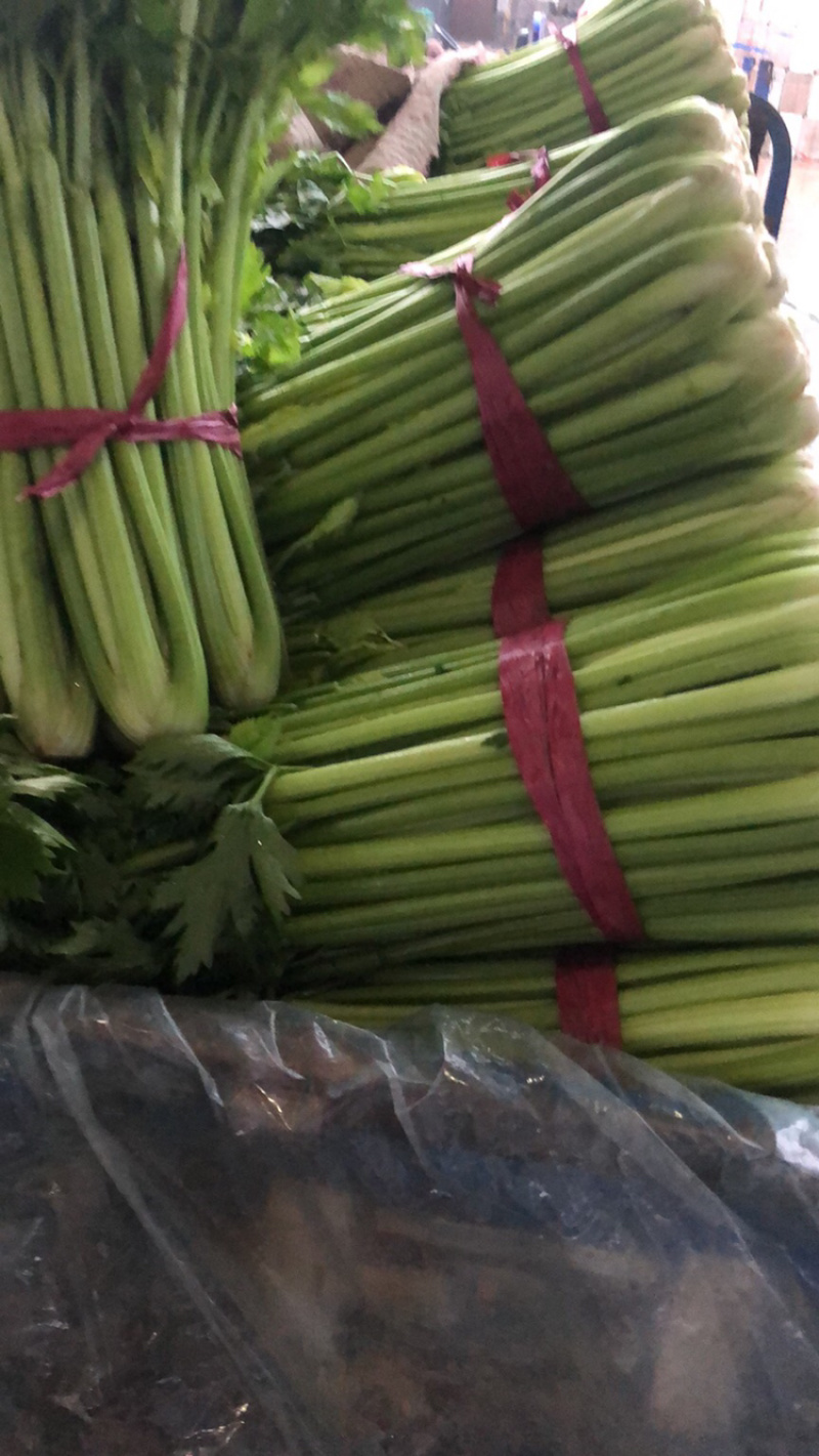 精品蔬菜大量上市质量好价格大掉钱