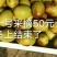 鲜食品种枣树苗，品种齐全，纯正，技术指导常年免费。