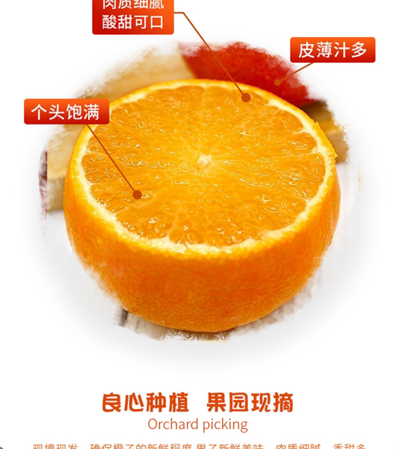 爱媛38号果冻橙手剥橙一件代发