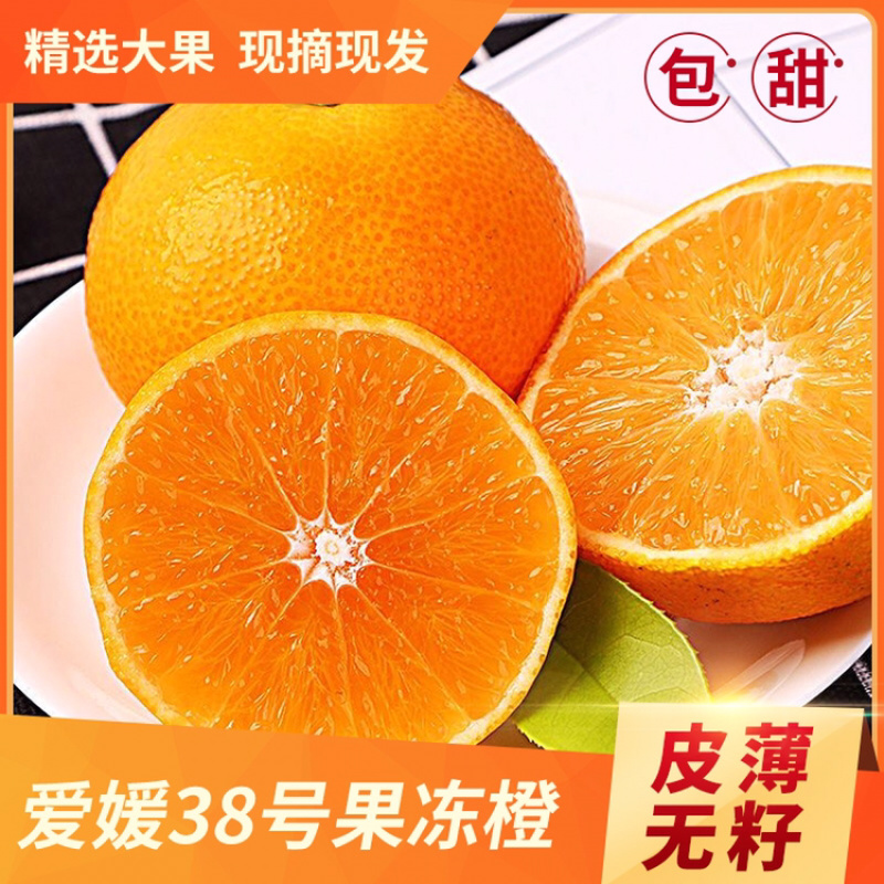 爱媛38号果冻橙手剥橙一件代发