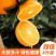 爱媛38号果冻橙手剥橙一件代发